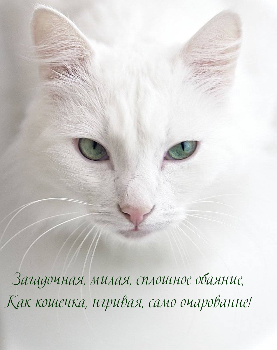 Загадочная, милая, сплошное обаяние, как кошечка, игривая