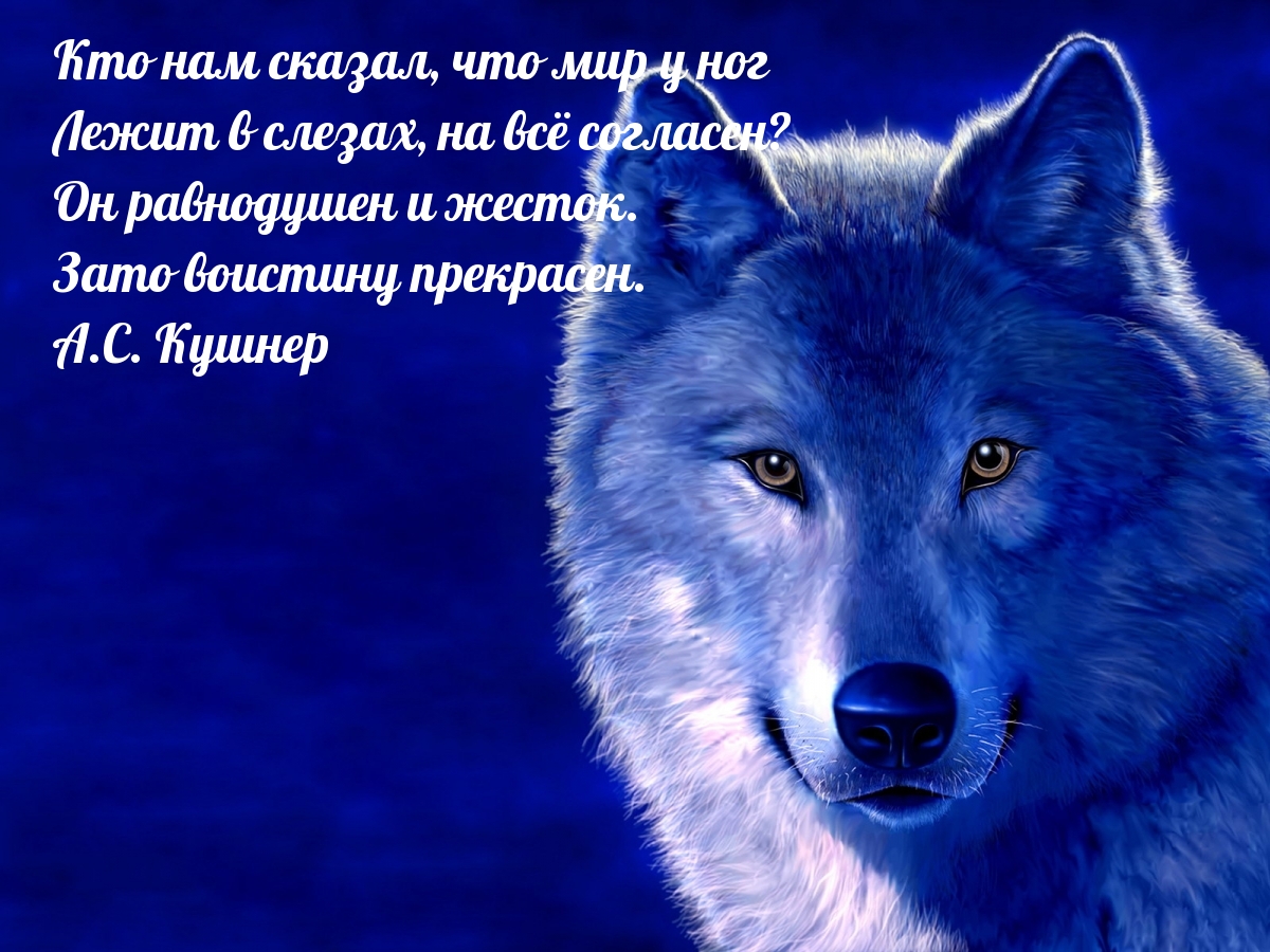 Кто нам сказал, что мир у ног лежит в слезах, на всё согласен?