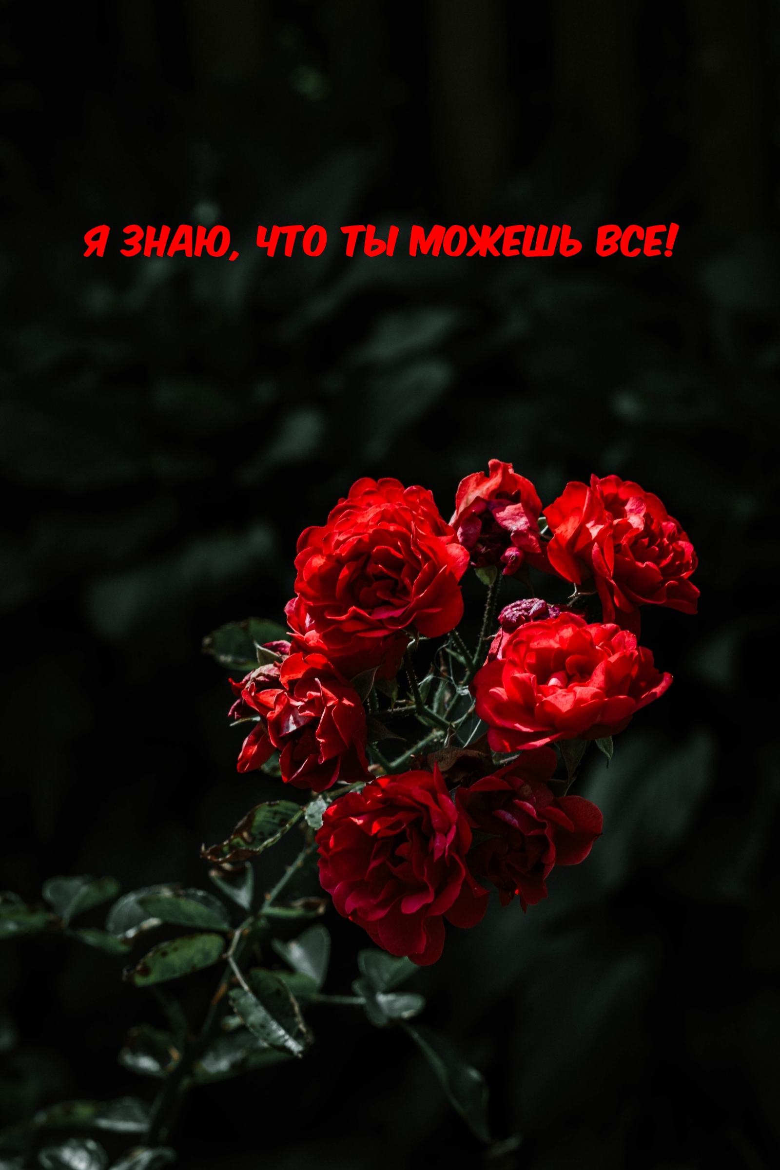 Я знаю, что ты можешь все!