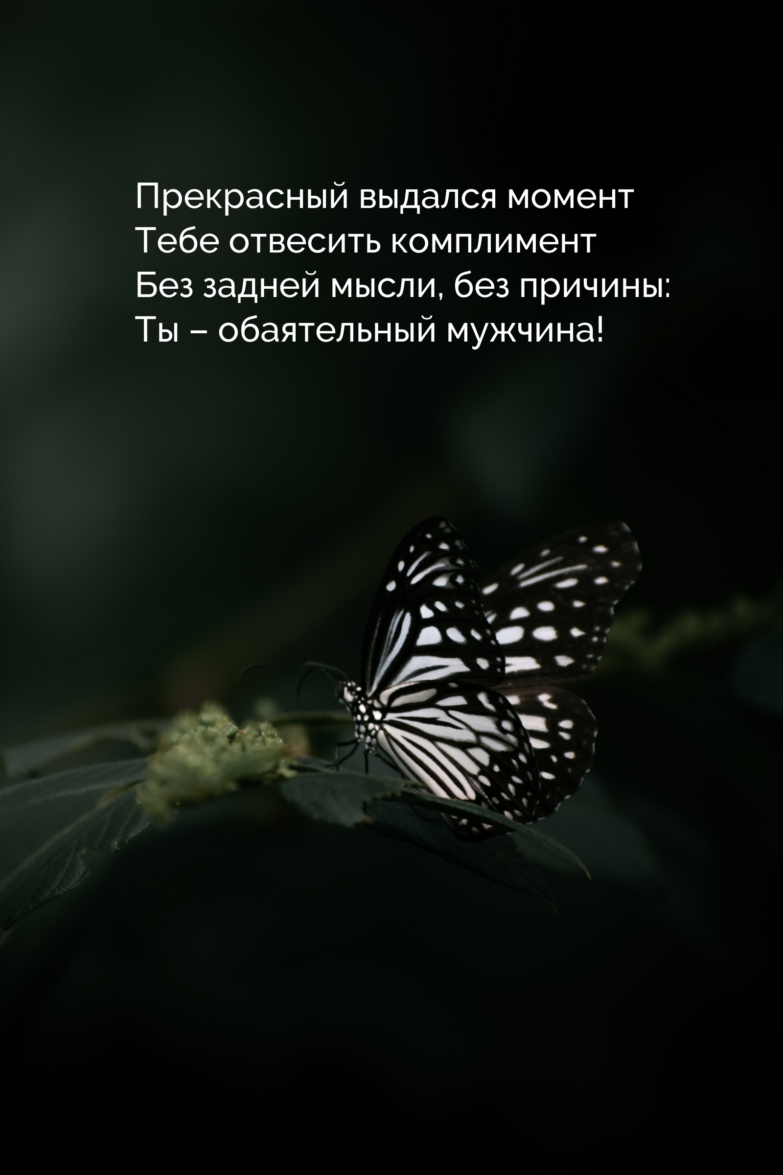 Прекрасный выдался момент Тебе отвесить комплимент