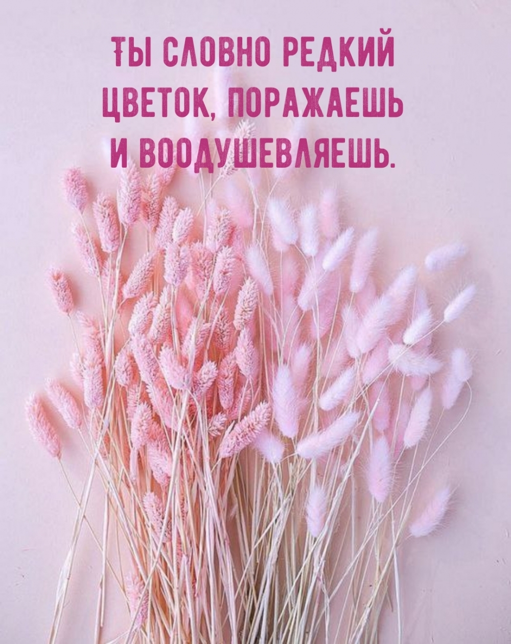 Ты словно редкий цветок, поражаешь и воодушевляешь.