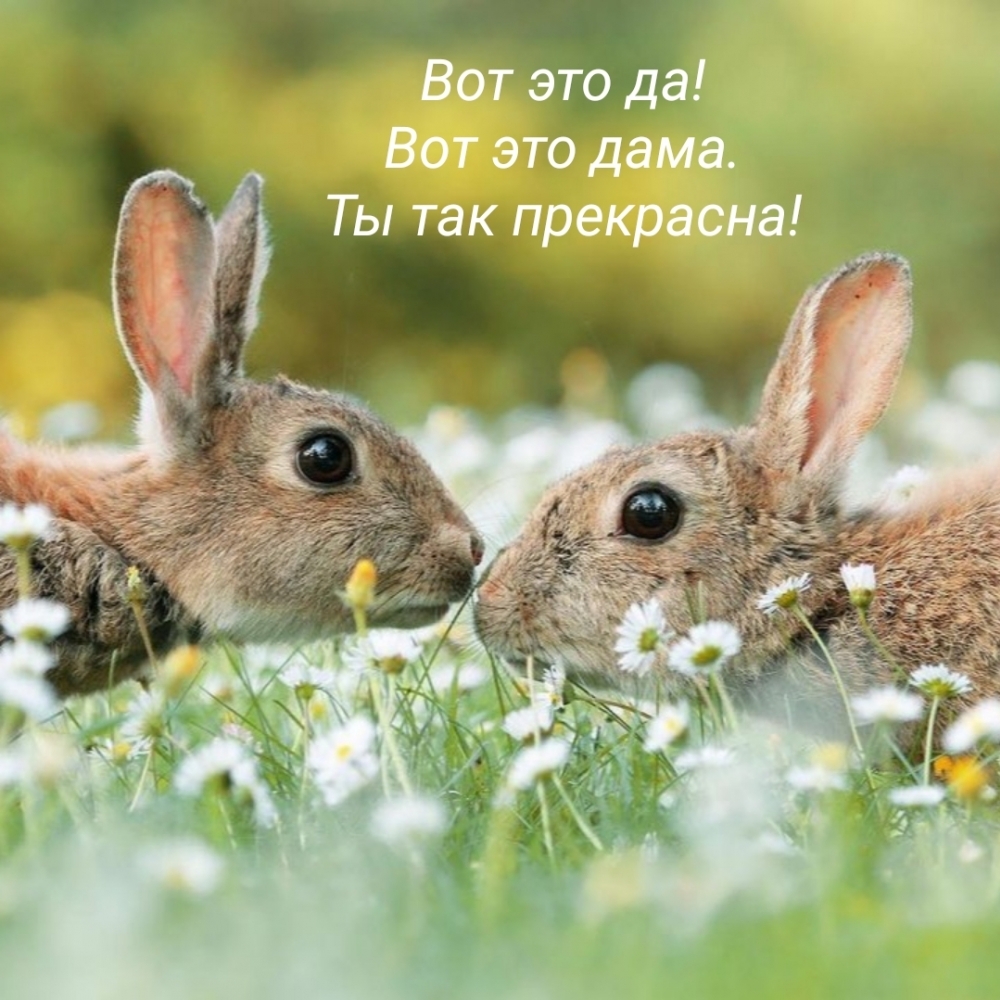 Вот это да! Вот это дама. Ты так прекрасна!