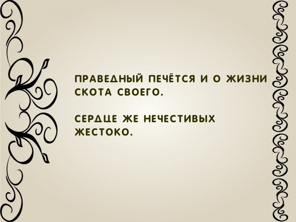 Праведный печётся и о жизни скота своего.