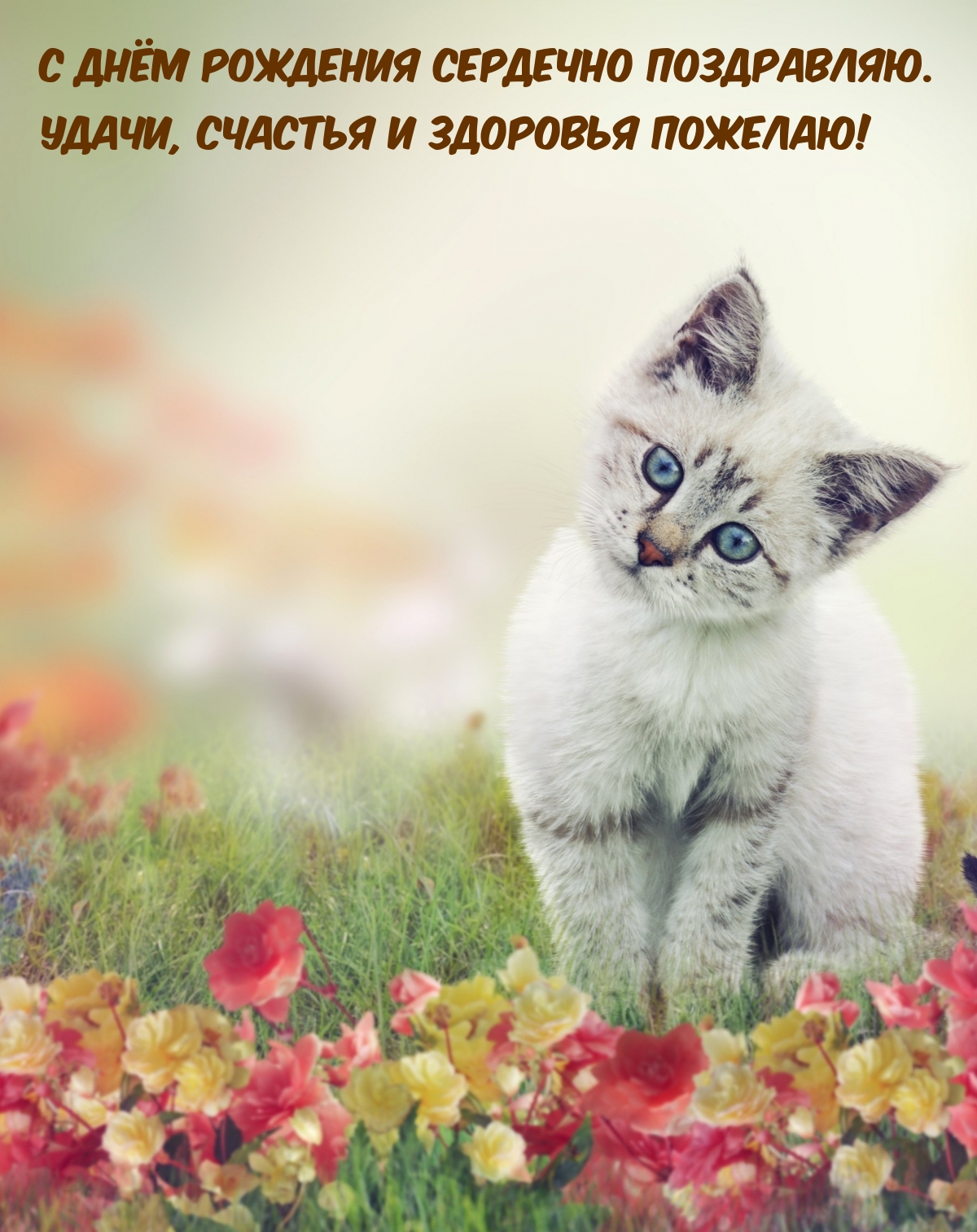 С днём рождения. Удачи, счастья и здоровья пожелаю!