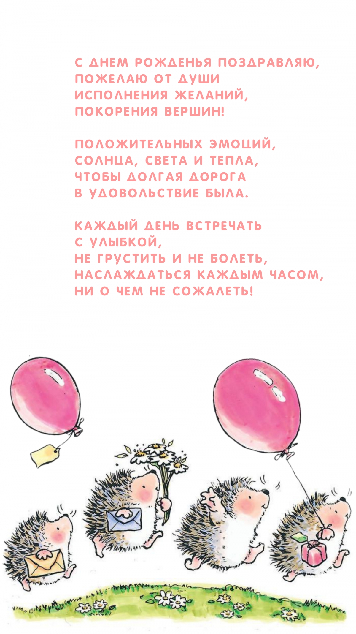 С днем рожденья поздравляю, пожелаю от души покорения вершин!