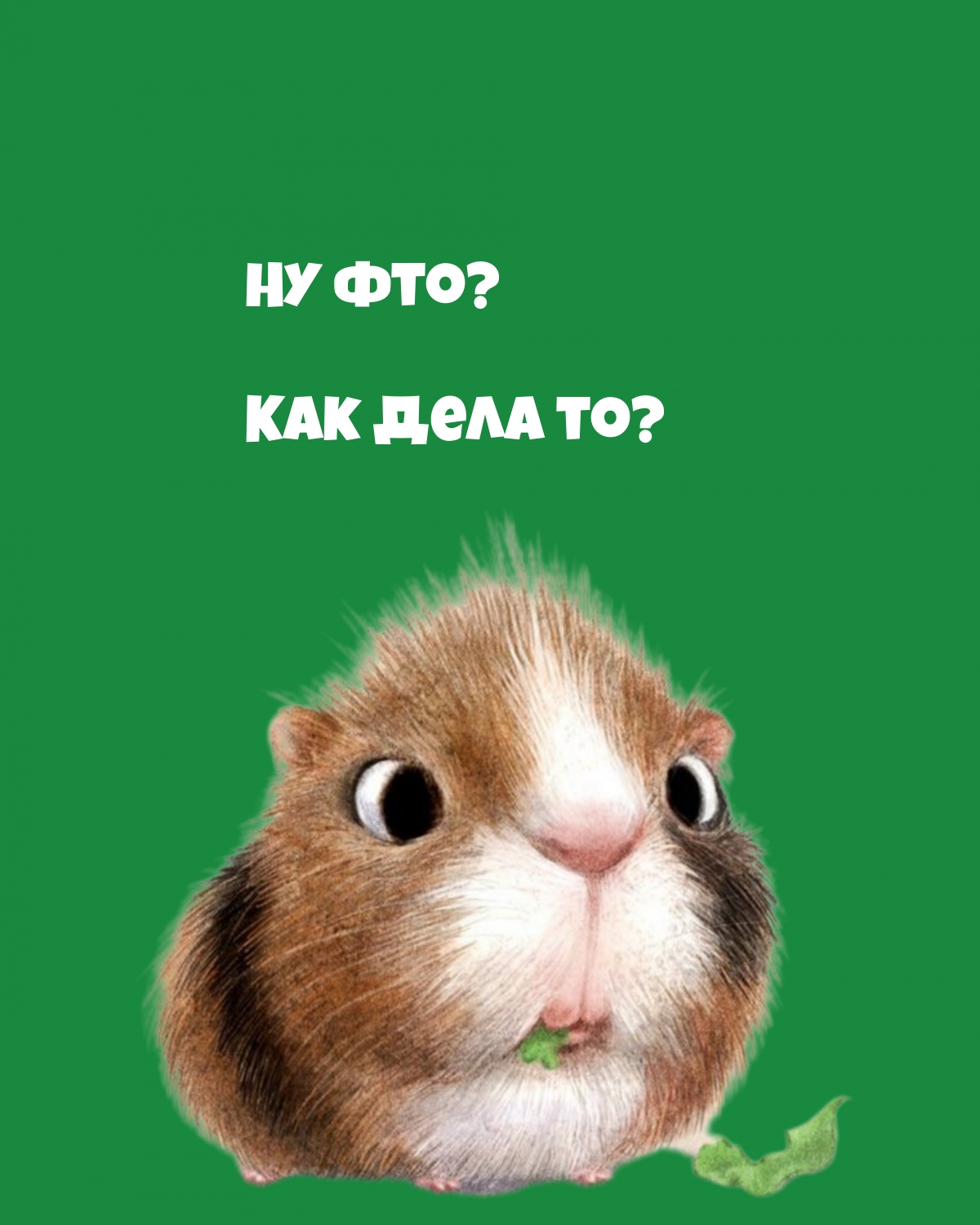 Ну фто? Как дела то?