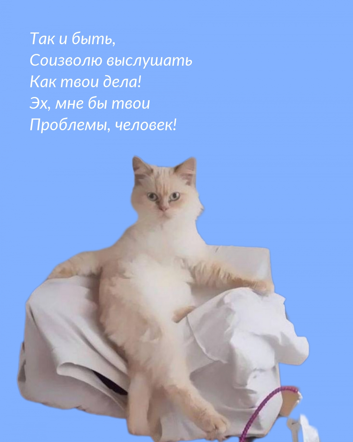 Картинки с надписями.  Так и быть, соизволю выслушать как твои дела! .