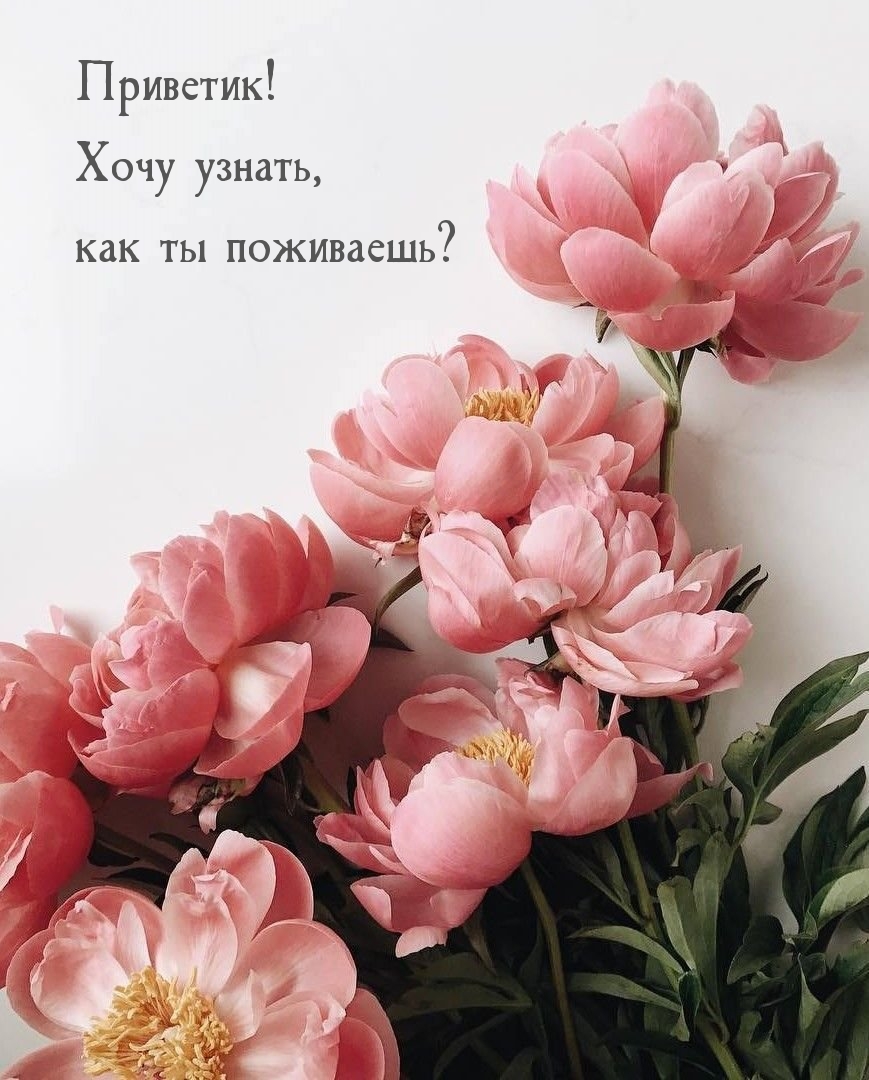 Приветик! Хочу узнать, как ты поживаешь?