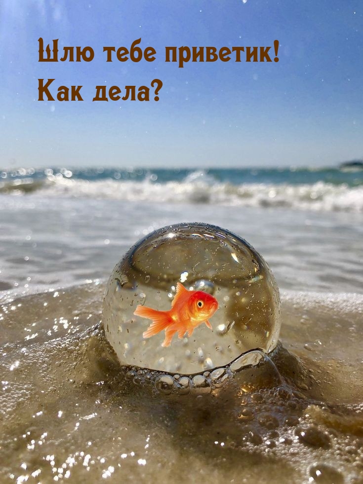 Шлю тебе приветик! Как дела?
