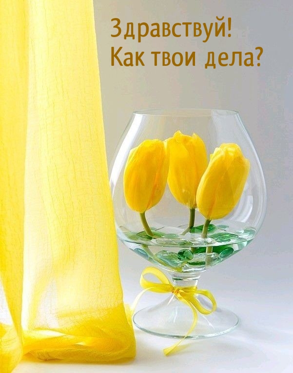 Здравствуй! Как твои дела?