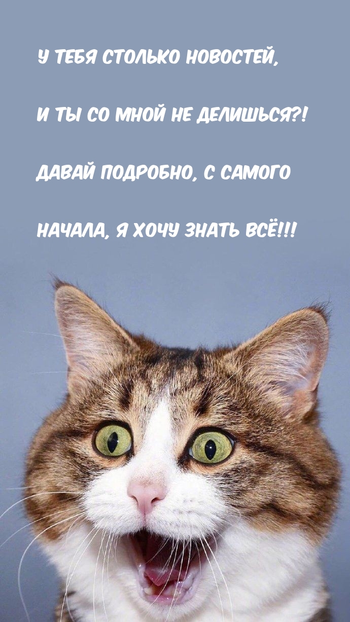 У тебя столько новостей, и ты со мной не делишься?!