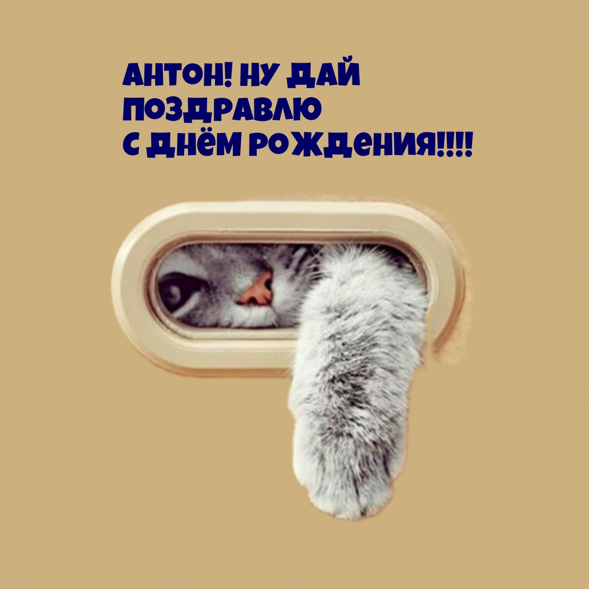 Антон! Ну дай Поздравлю С днём рождения!