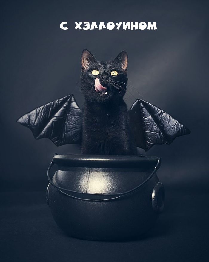 С ХЭЛЛОУИНОМ
