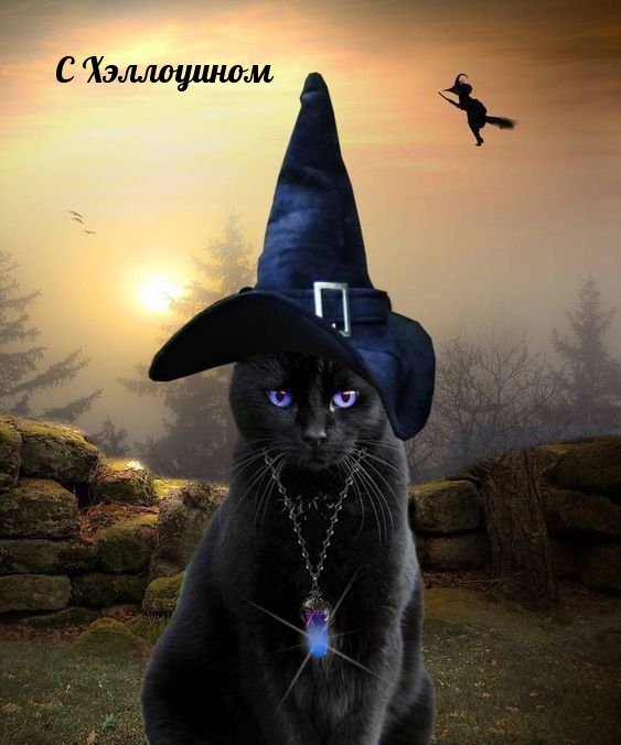 С Хэллоуином