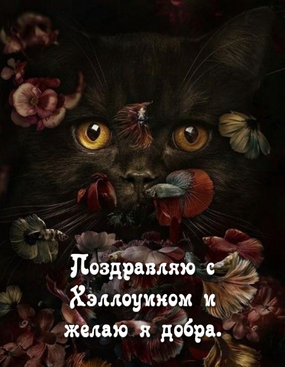 Поздравляю с Хэллоуином и желаю я добра.