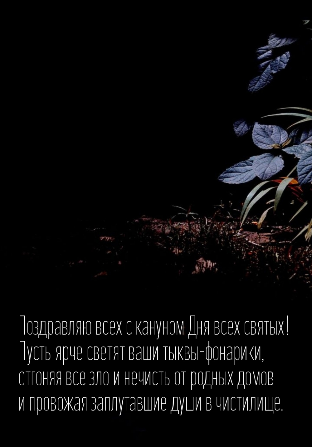 Поздравляю всех с кануном Дня всех святых!