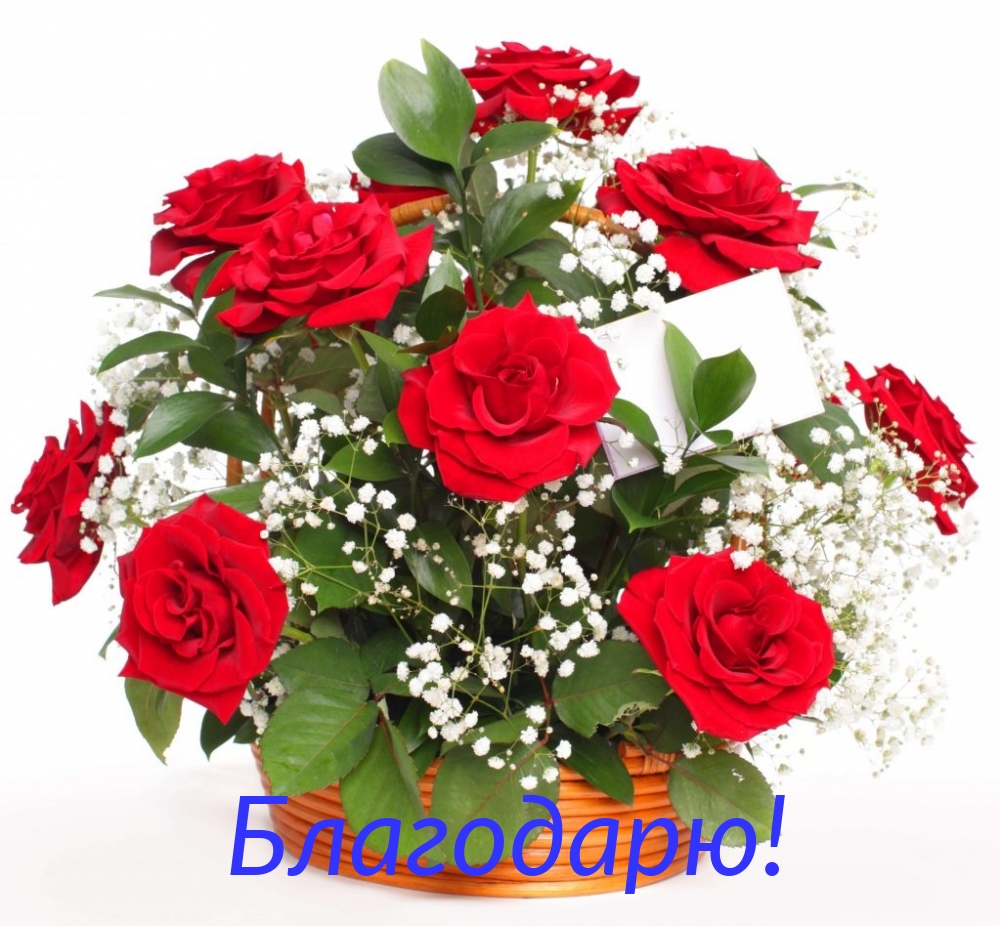 Благодарю!