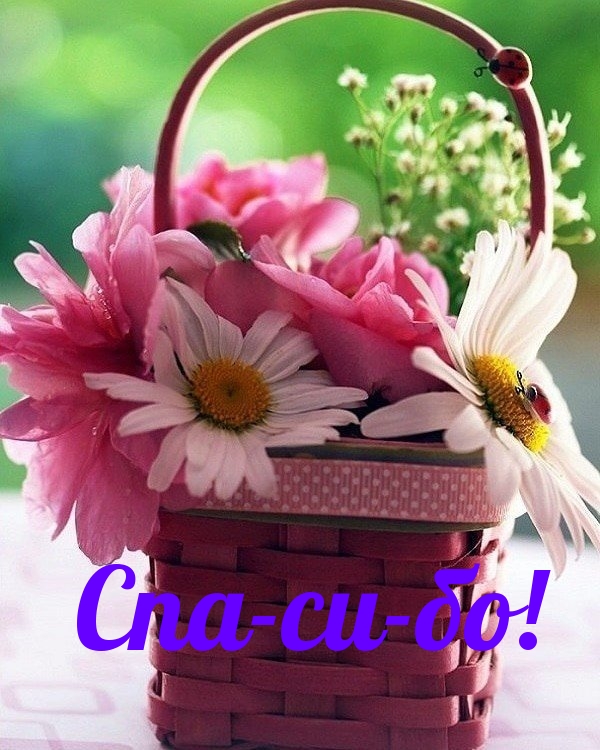 Спа-си-бо!