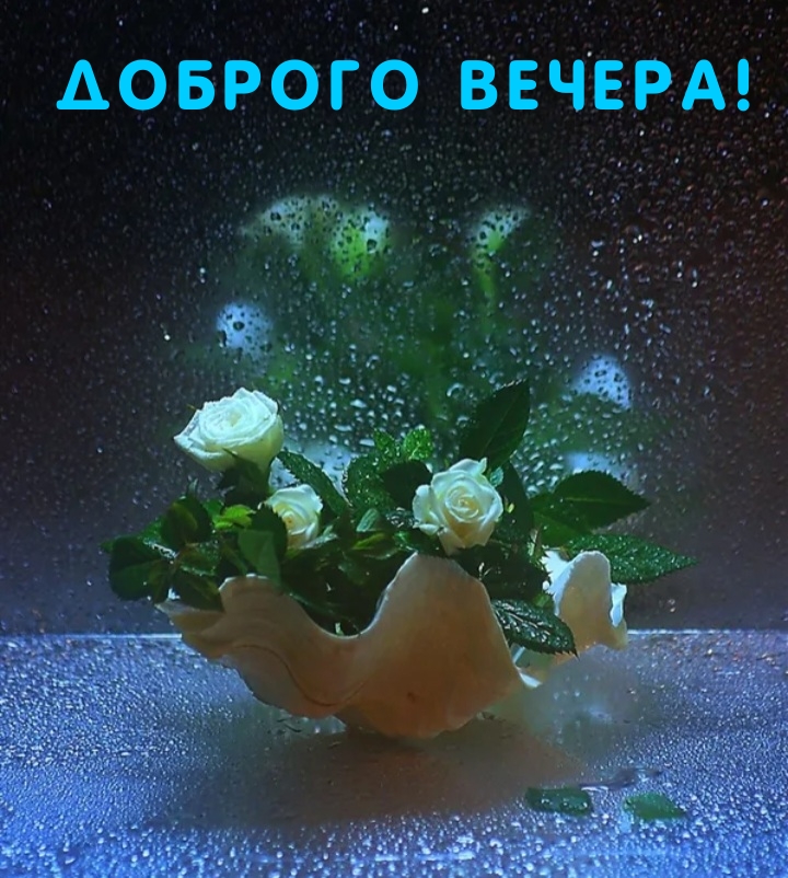 Доброго вечера!