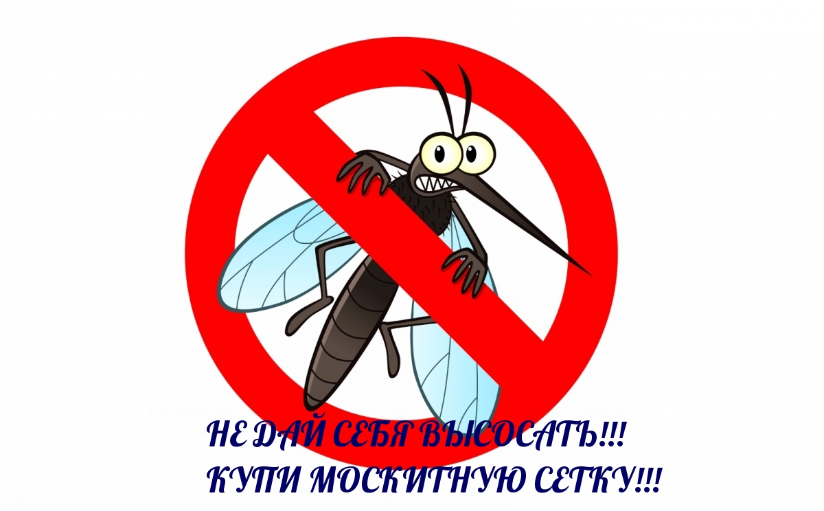 НЕ ДАЙ СЕБЯ ВЫСОСАТЬ! КУПИ МОСКИТНУЮ СЕТКУ!