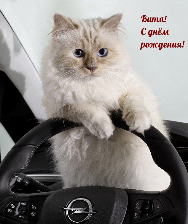 Витя! С днём рождения!