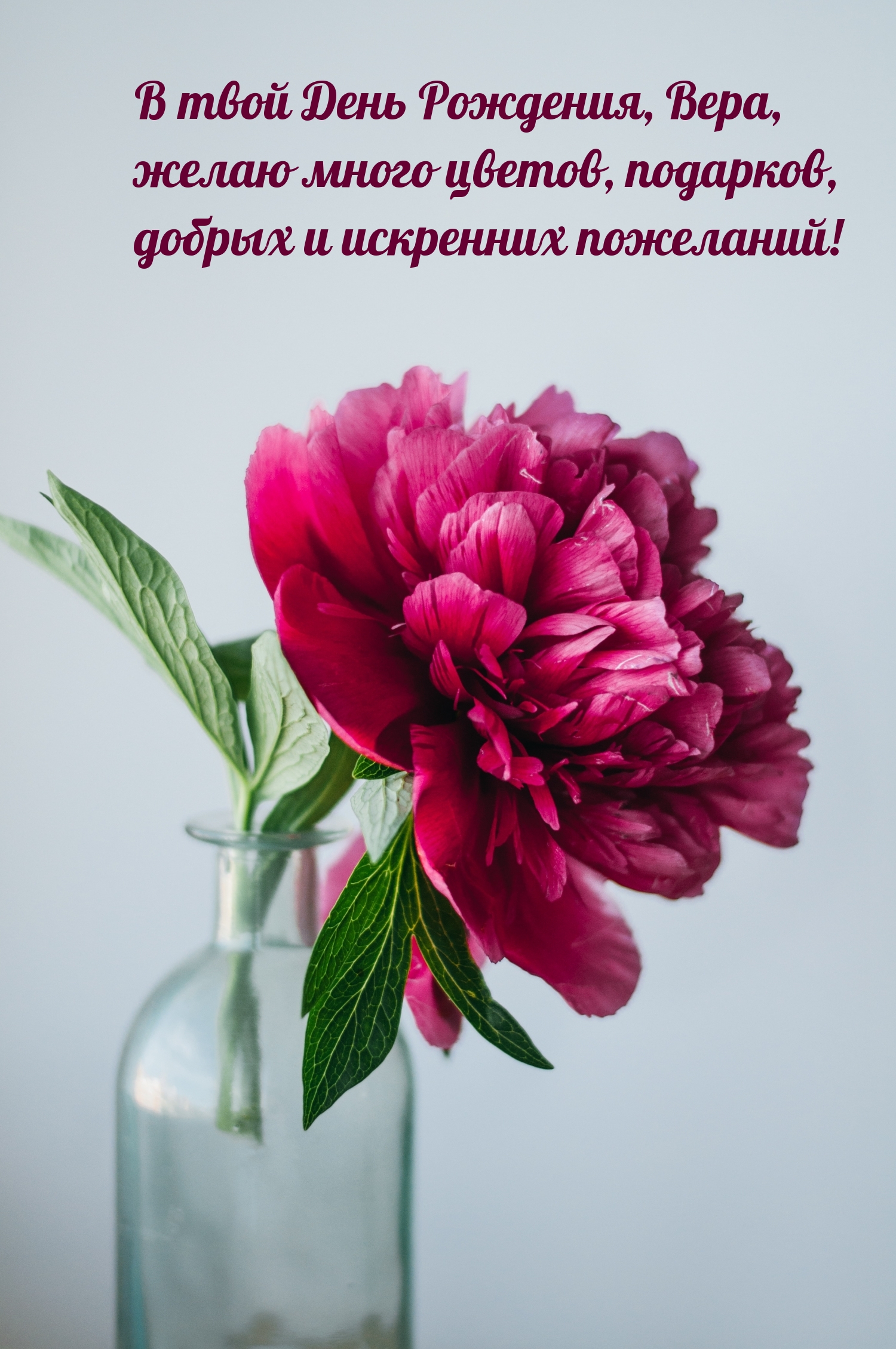 В твой День Рождения, Вера, желаю много цветов, подарков