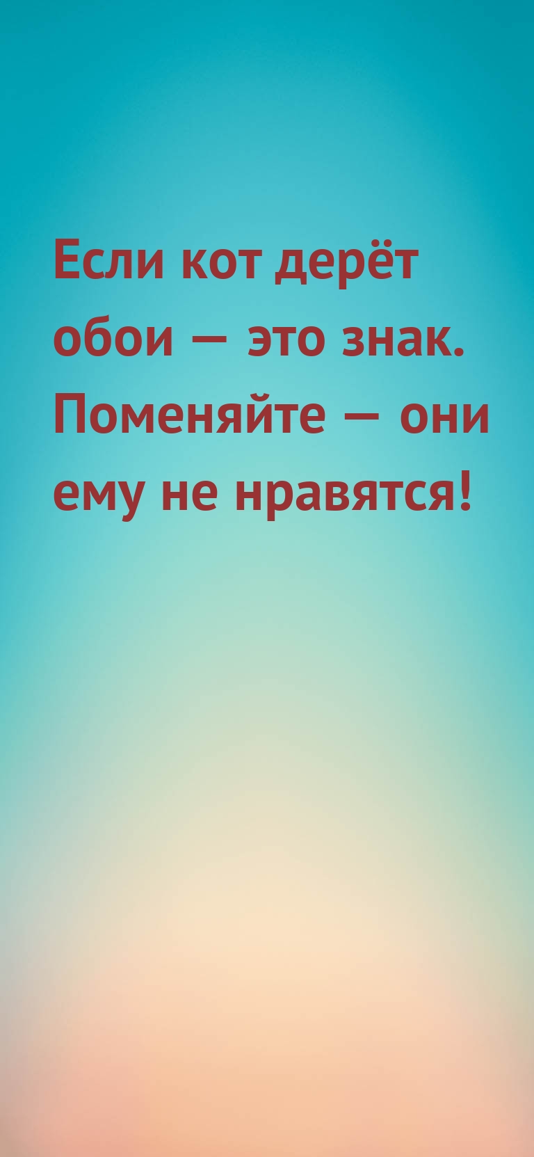 Если кот дерёт обои — это знак. Поменяйте — они ему не нравятся!