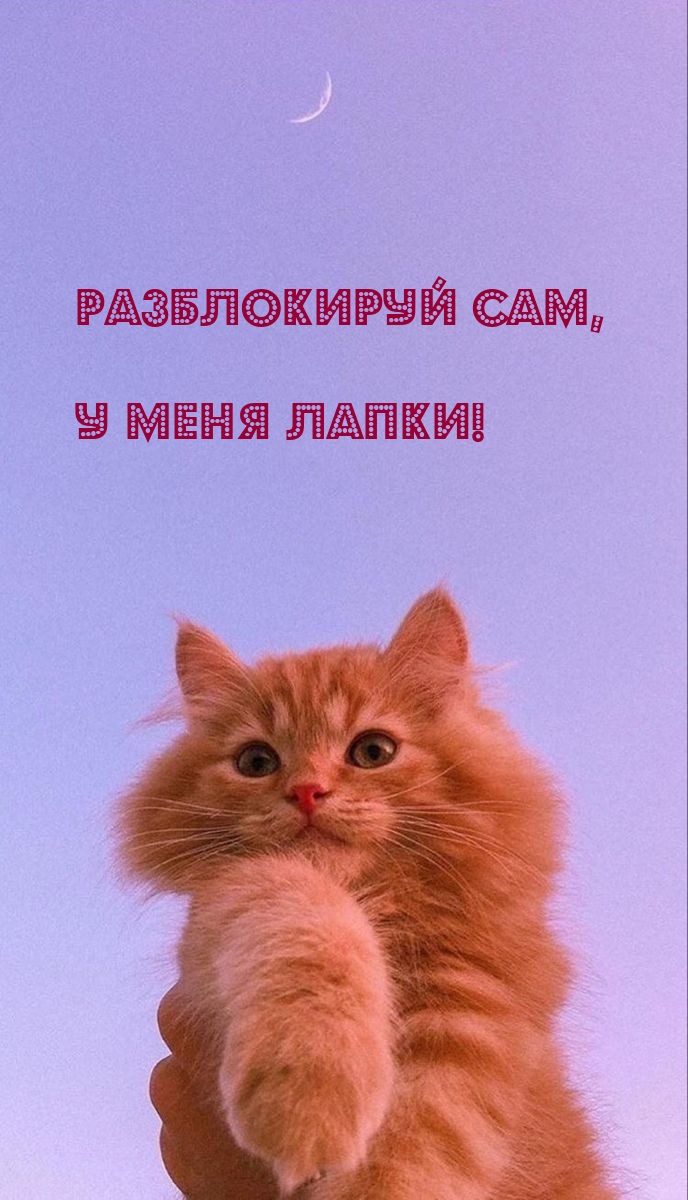 Разблокируй сам, У меня лапки!