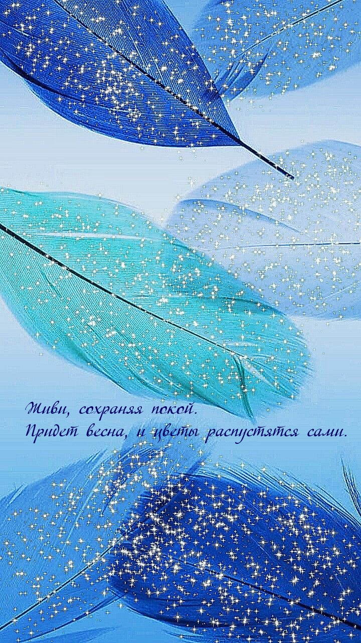 Живи, сохраняя покой. Придет весна, и цветы распустятся сами.