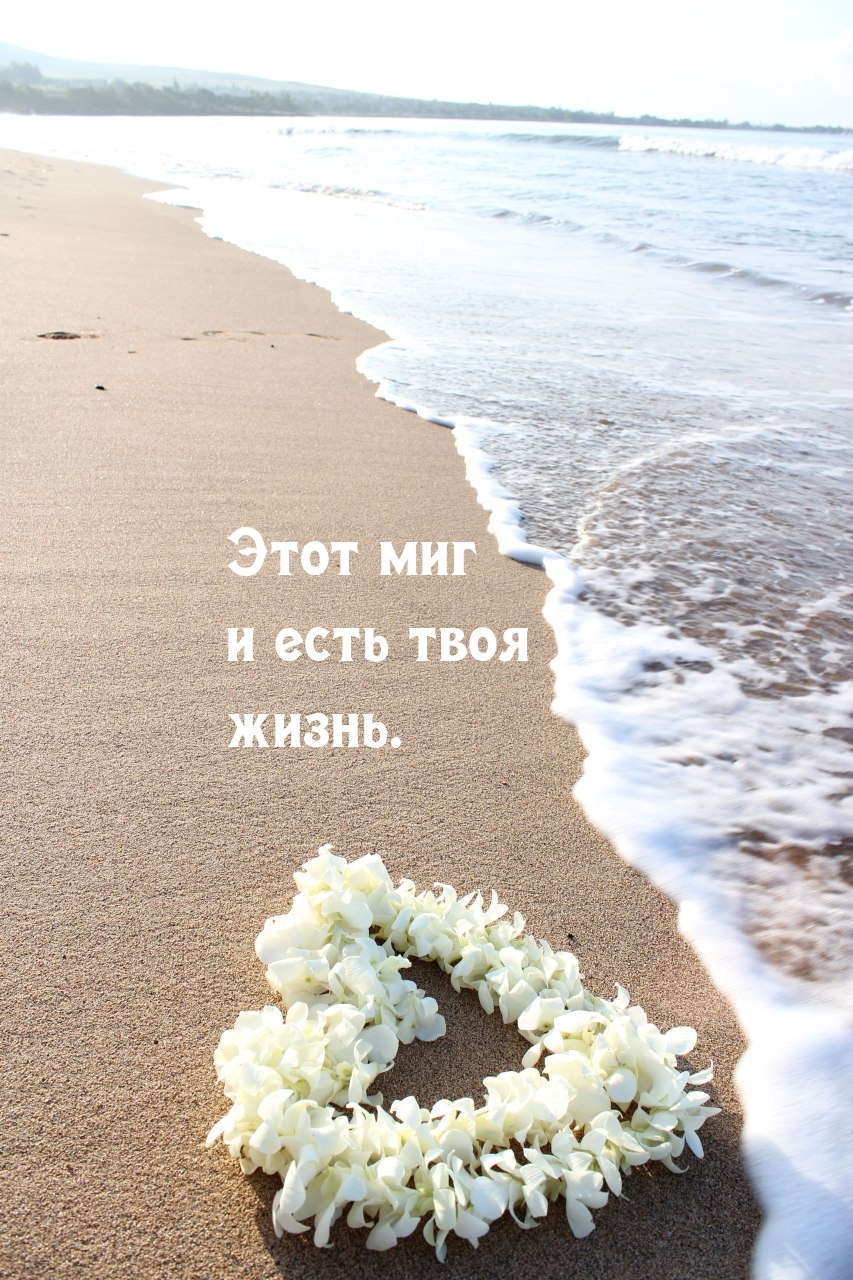 Этот миг и есть твоя жизнь.