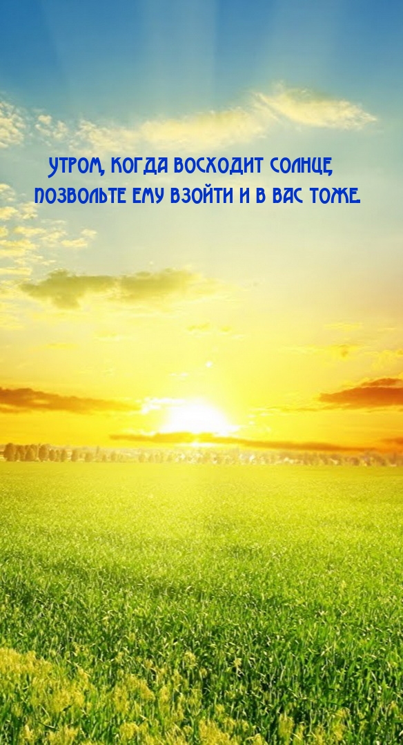 Утром, когда восходит солнце, позвольте ему взойти и в вас тоже.