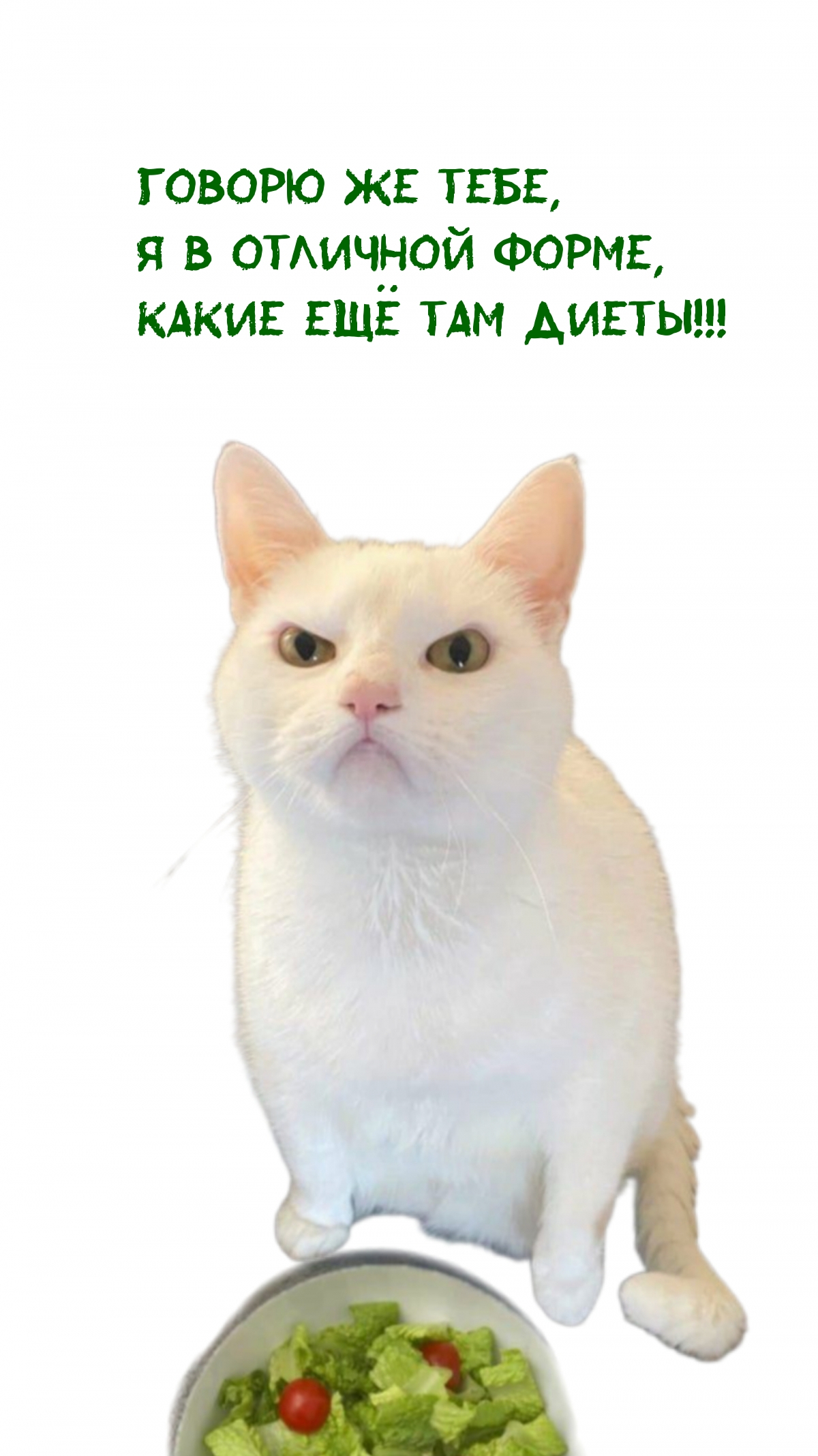Говорю же тебе, Я в отличной форме, Какие ещё там диеты!