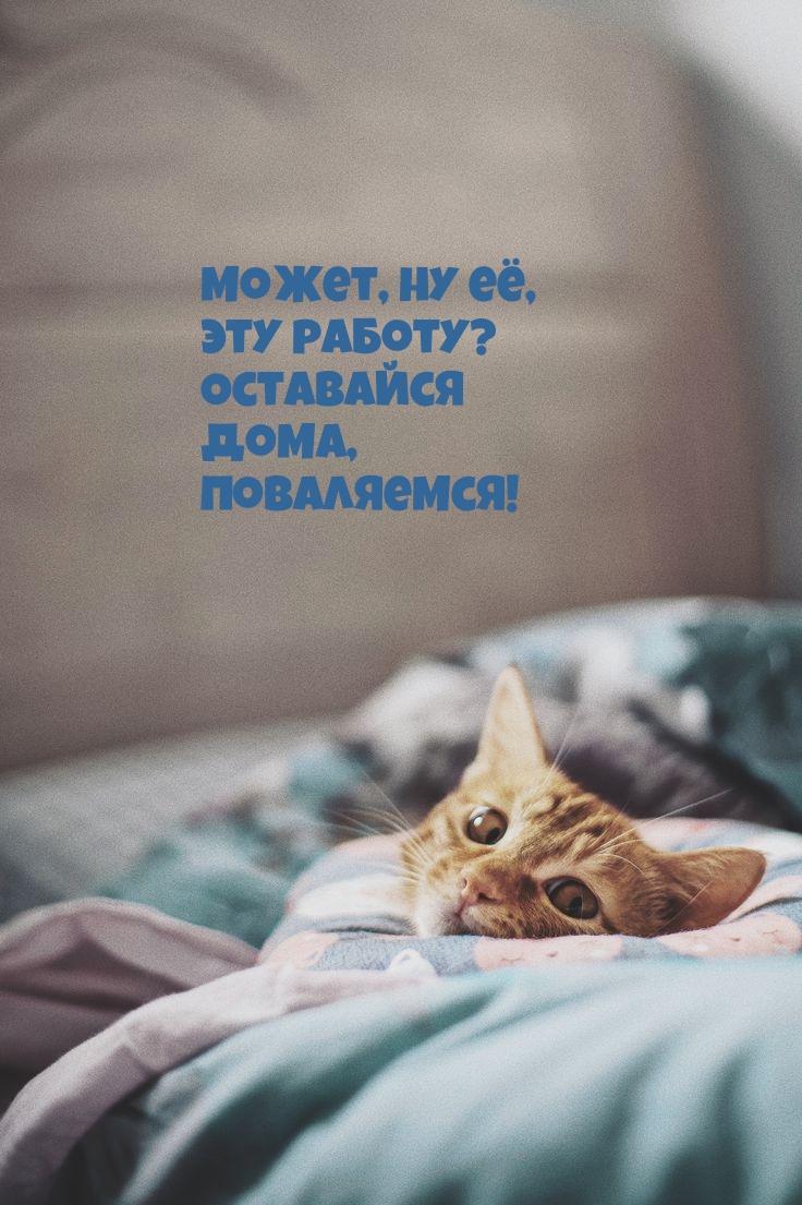 Может, ну её, Эту работу? Оставайся Дома, Поваляемся!