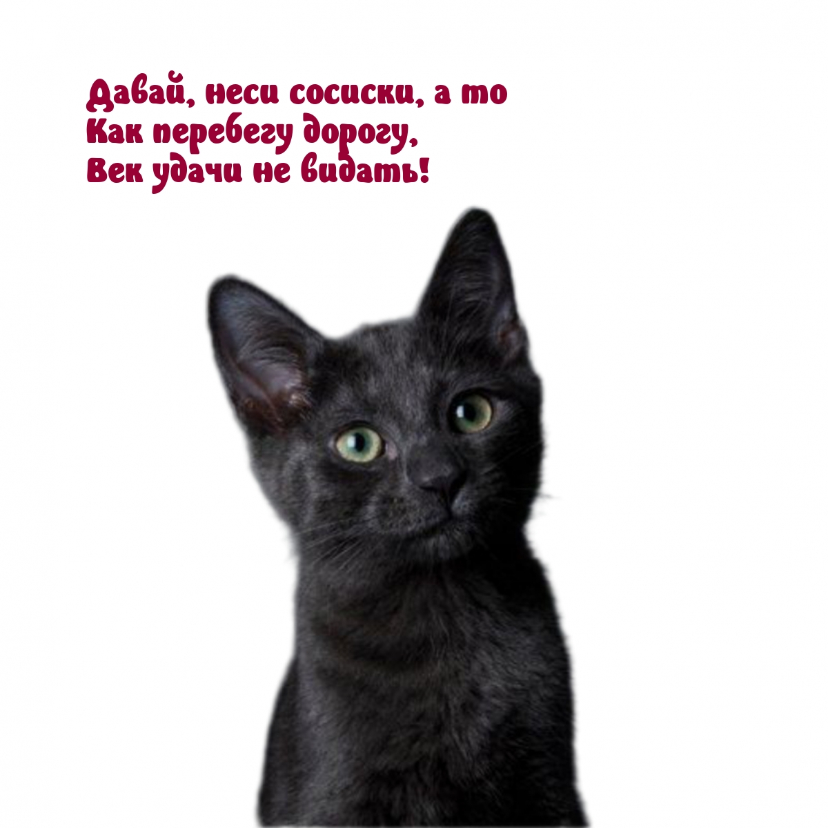 Давай, неси сосиски, а то как перебегу дорогу
