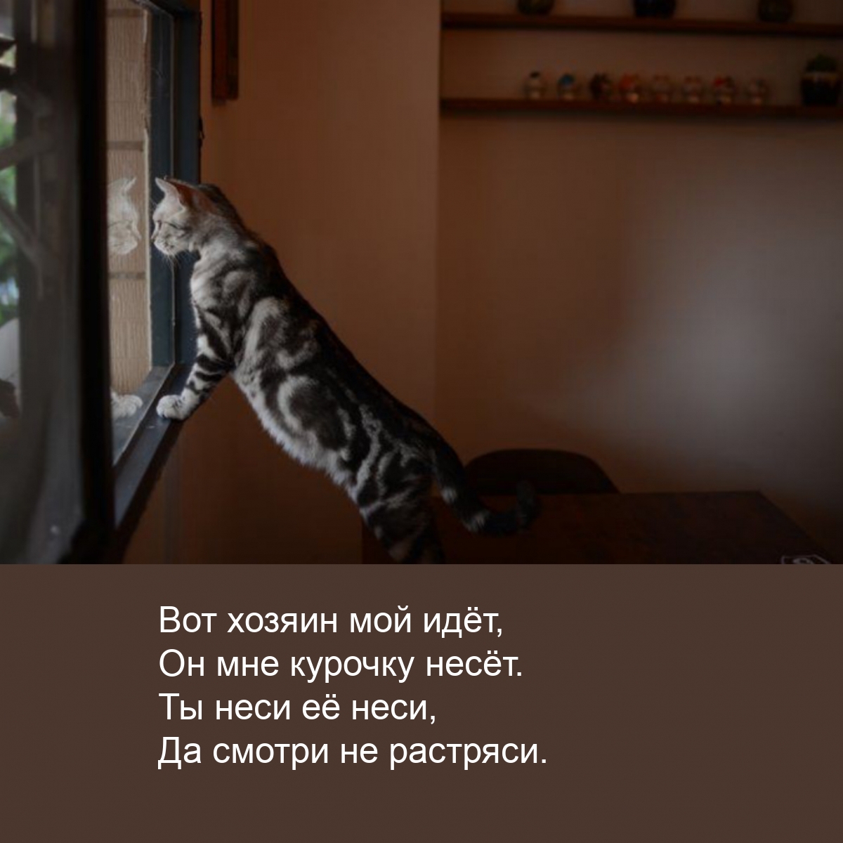 Вот хозяин мой идёт, он мне курочку несёт.