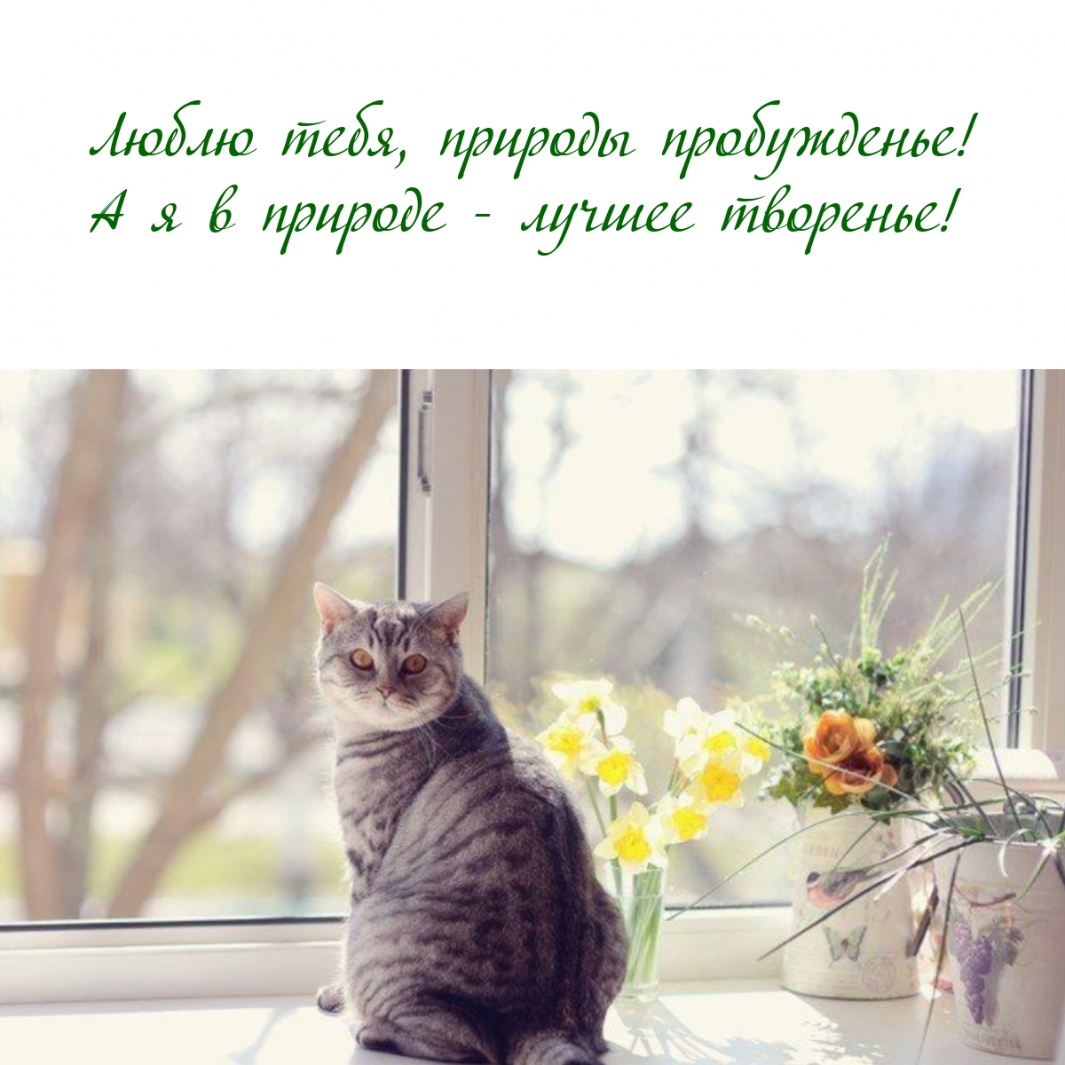 Люблю природы пробужденье! А я в природе — лучшее творенье!