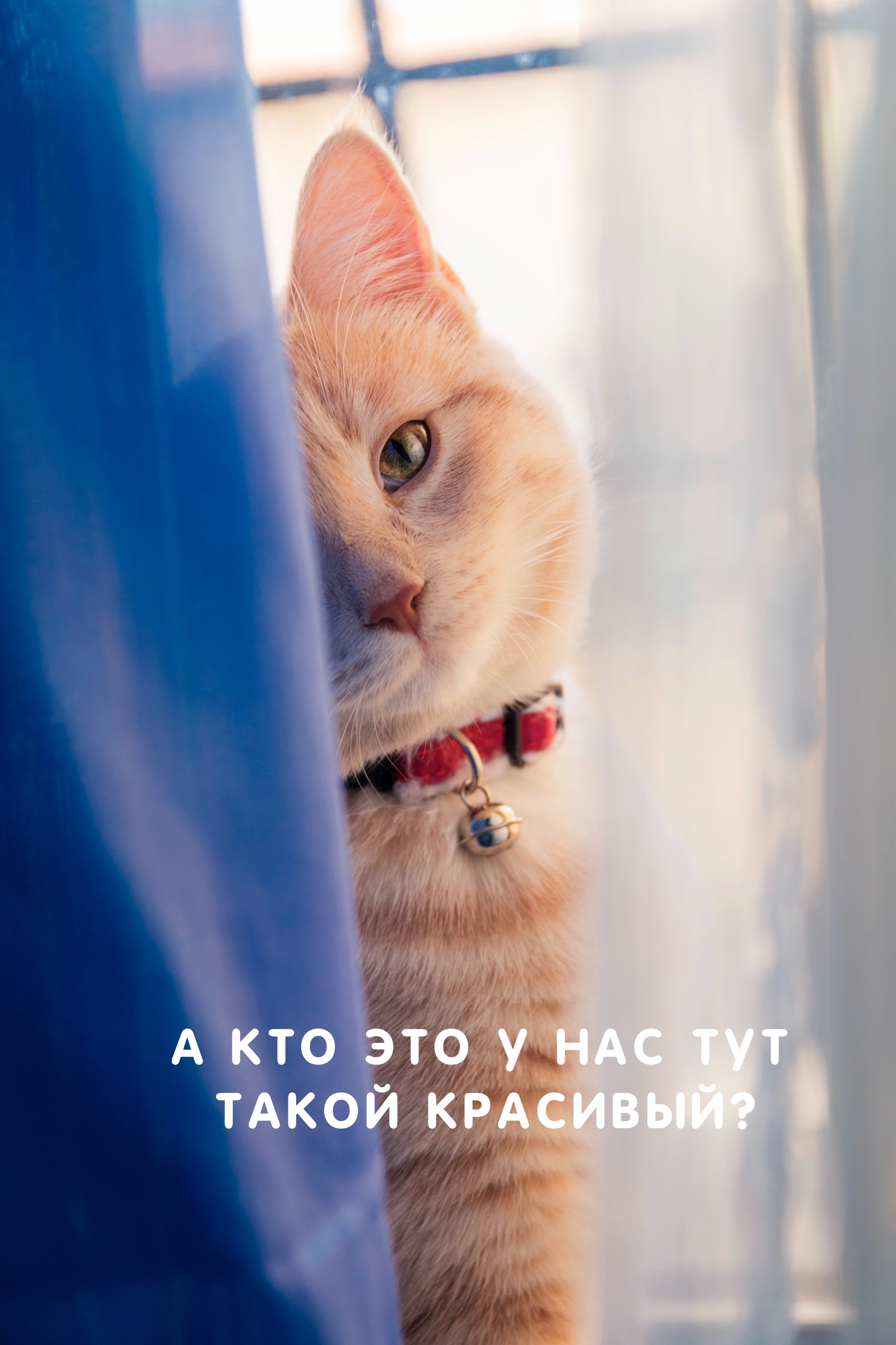 А кто это у нас тут такой красивый?