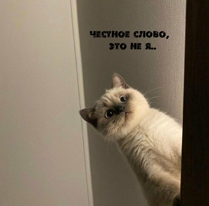 Честное слово, это не я..