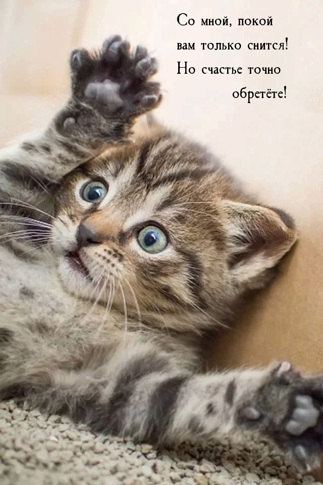 Со мной, покой вам только снится! Но счастье точно обретёте!