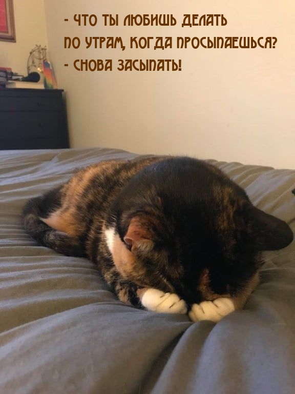 — что ты любишь делать по утрам, когда просыпаешься?