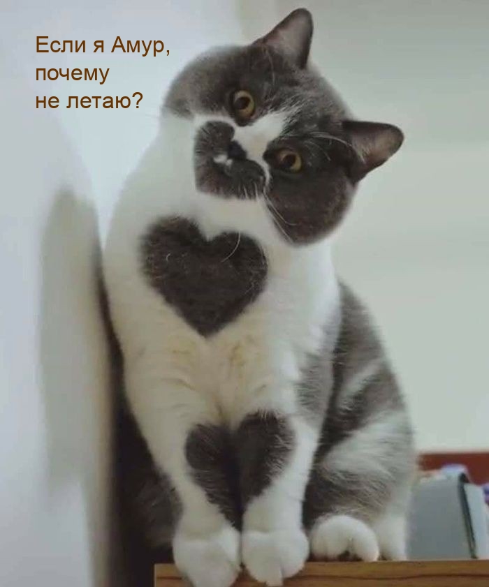 Если я Амур, почему не летаю?