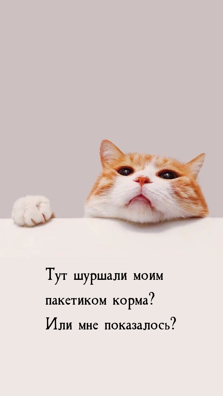 Тут шуршали моим пакетиком корма? Или мне показалось?