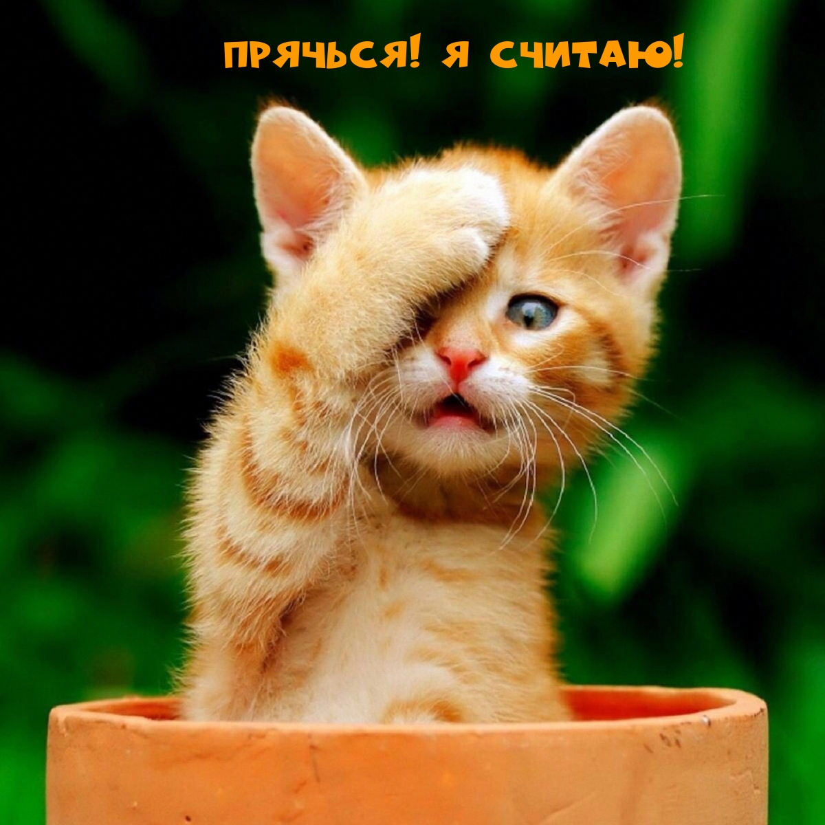 Прячься! Я считаю!