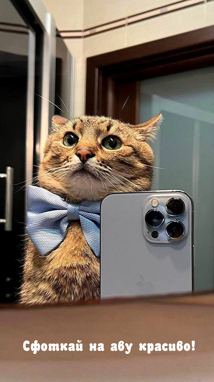 Сфоткай на аву красиво!