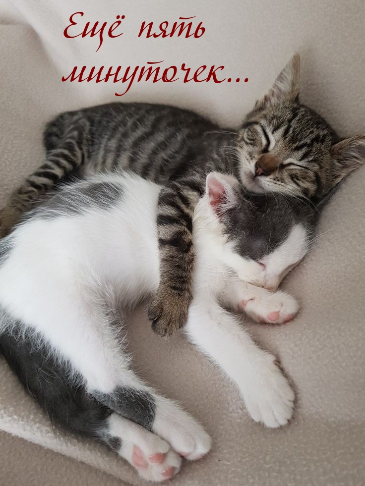 Ещё пять минуточек…