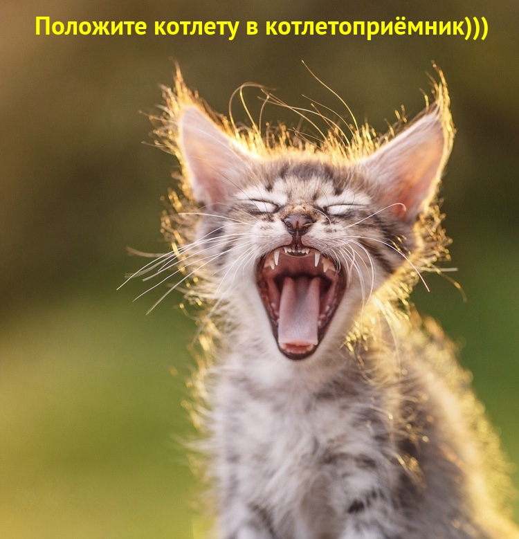 Положите котлету в котлетоприёмник)))