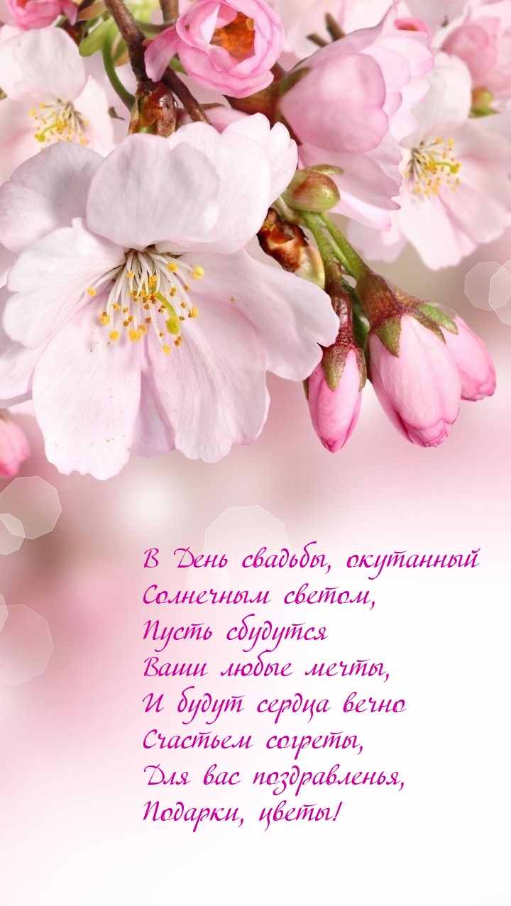 В День свадьбы, окутанный солнечным светом