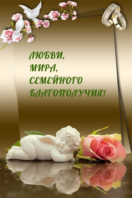 Любви, мира, семейного благополучия!