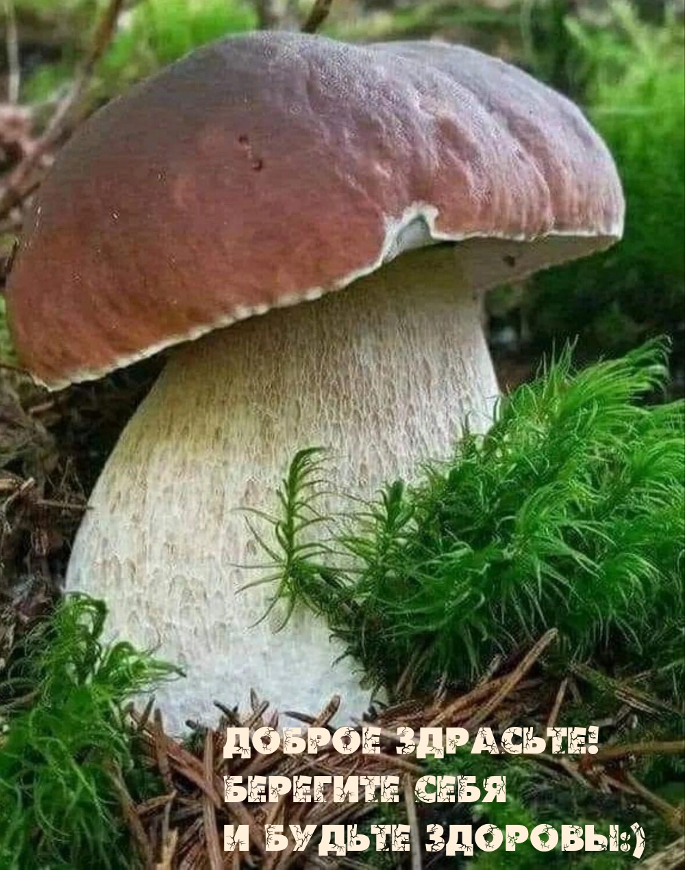 Доброе здрасьте! Берегите себя и будьте здоровы:)