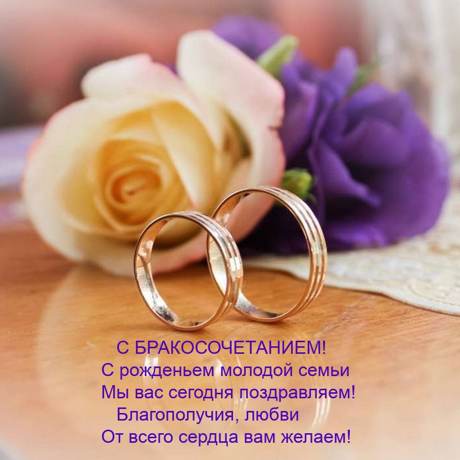 С рожденьем молодой семьи мы вас сегодня поздравляем!